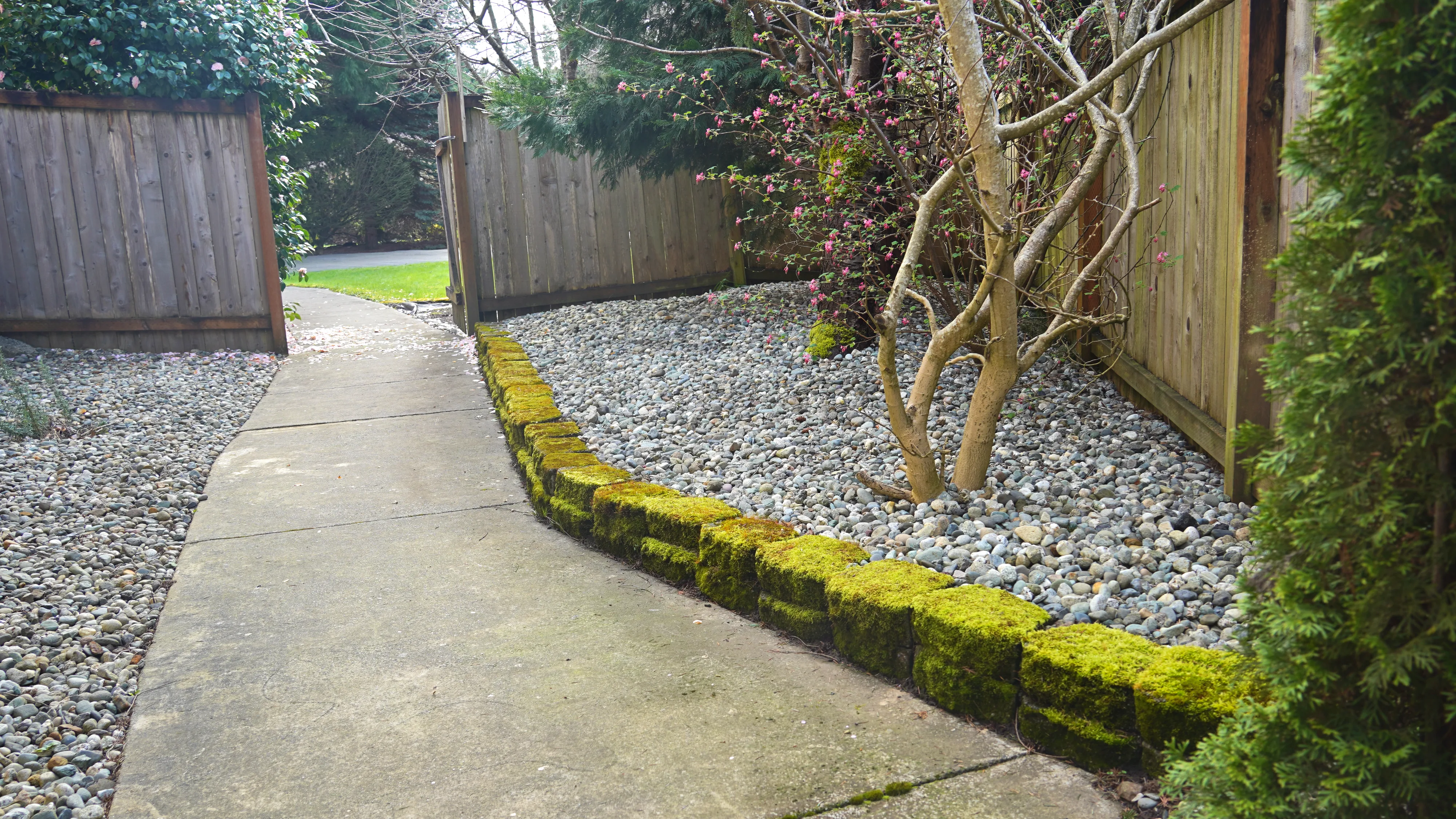Garden walkway with stone edging and landscaped beds